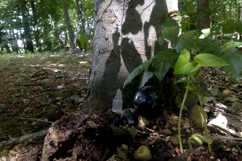 Reconnective Healing